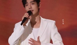 爆料肖战圈内人,揭秘娱乐圈的璀璨星途与争议漩涡